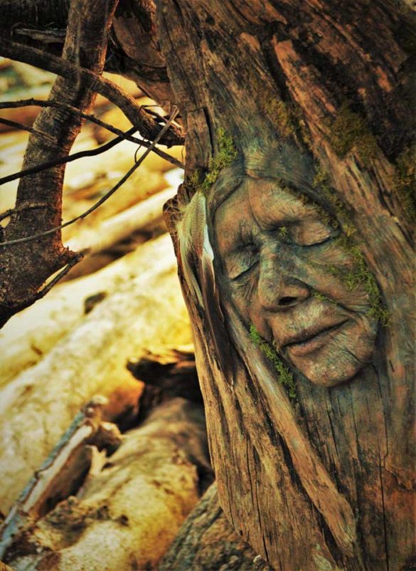 A arte natural de Debra Bernier, esculturas feitas com troncos e conchas